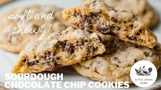 The Greatest Sourdough Chocolate Chip Cookies Ever!