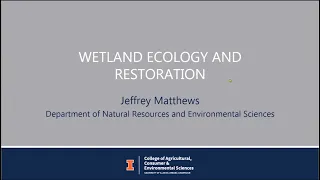 Wetland Ecology and Restoration