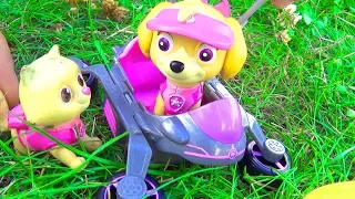 Щенячий Патруль - Произшествие на площадке - Все серии.  Paw Patrol Pup fu and kitty.