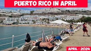 Gran Canaria🌴PUERTO RICO IN APRIL - 2024