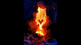 Sacred Phoenix Heart (Rumi Oracle)