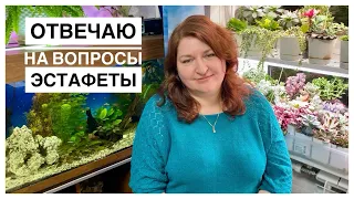 Эстафета цветочных блогеров. Отвечаю на вопросы.