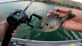 USING HUGE BAIT To CATCH HUGE CATFISH! BUT CAUGHT PB BASS INSTEAD!!