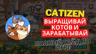 CATIZEN - ПОЛНЫЙ ГАЙД ПО ИГРЕ!