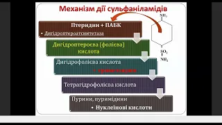 Лекція 5.3 Сульфаніламіди та Нітрофурани  (Іщенко В.Д. , Бойко Г.В.)