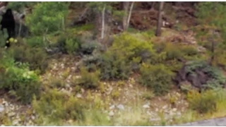 Lake Tahoe Bigfoot Sighting Breakdown