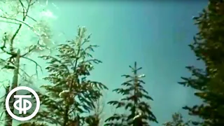 Глухариная песня. Документальный фильм о жизни и повадках лесных красавцев глухарей (1985)