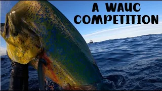 SPEARFISHING WESTERN AUSTRALIA - a WAUC competition entry