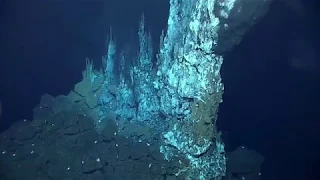 Hydrothermal Vents: 2016 Deepwater Exploration of the Marianas