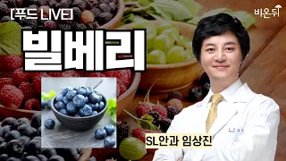 [푸드 파헤치기] 빌베리 / SL안과 임상진