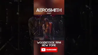 ☮ Aerosmith, Crazy | Woodstock 1994