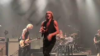 Iggy Pop - Frenzy (Live)