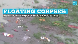 Floating corpses: Rising Ganges exposes India's Covid graves