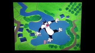 Canyon Fall Gag Compilation (But with Non-Road Runner Cartoons)