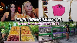 EXPLORING MIAMI  -͟͟͞☆ gekko restaurant, rug tufting, animal sanctuary (living in miami alone at 21)