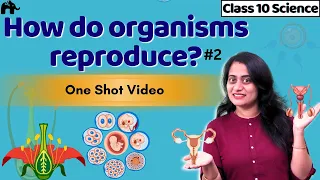 How do organisms reproduce Class 10 Science | CBSE Biology NCERT Chapter 8 | Sexual reproduction #2