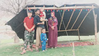 Putting up a Nomad Tent in the Gakal Nomad Reserve : Nomad life of Iran