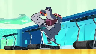 Zig & Sharko 💪🦈 NO PAIN NO GAIN WITH SHARKO 💪🦈 Full Episode in HD