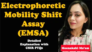 Electrophoretic Mobility Shift Assay (EMSA)| Detailed Explanation with CSIR PYQs|