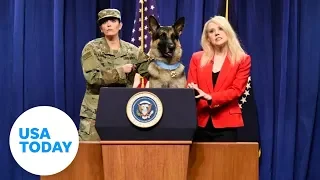 'SNL' goes to the dogs in the best way | USA TODAY