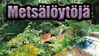 Rataspää Jakso 15 / Metsälöytöjä