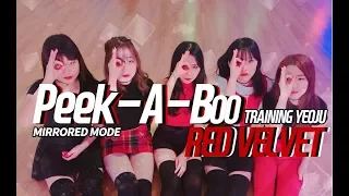 Red Velvet 레드벨벳 피카부(Peek A Boo) 안무 (dance cover) 거울모드   보컬프렌즈
