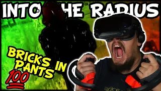 INTO THE RADIUS VR MOMENTS THAT MAKE ME QUESTION MY SANITY