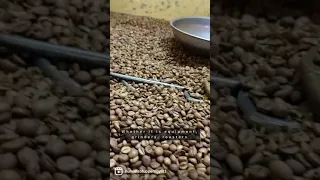 The coffee Industry. صناعة البُِن بصعيد  مصر (فيلم قصير)