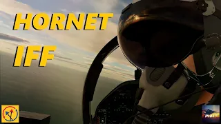 DCS World - F/A-18C IFF SETUP with AWG's IPs, Video by AWG Prickly of @Pricklyhedgehog72