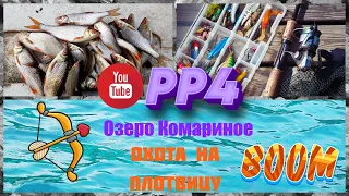 Озеро Комариное • Плотва • 70-87 • В прилове язь и густера • Русская рыбалка 4 • РР4.