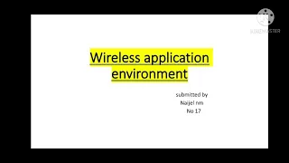 wireless application environment