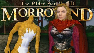 Morrowind's Weirdest Mod