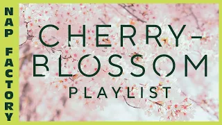 EMOTIONAL CHERRY BLOSSOM PLAYLIST: Beautiful Piano, Sleep Music, Meditation Music