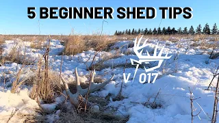 Top 5 Shed Hunting Tips For Beginners