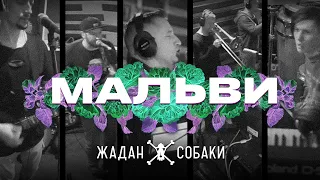 Жадан і Собаки – Мальви (Офіційне відео)