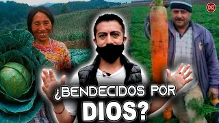 MEXICANO CONOCE LAS IMPACTANTES VERDURAS GIGANTES DE GUATEMALA (EP 8)