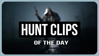 Hunt Clips of the day | 13.09.2023