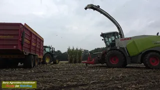 Maishakselen 2020 - Claas Jaguar 940 Pure Sound, Kukurydza | Harvesting maize | Riphagen Vaassen