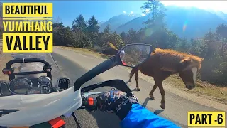Riding to YUMTHANG valley 🤩😍 || Beautiful place || part-6  #bikeride #northsikkim