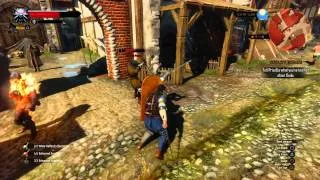 The Witcher 3: Wild Hunt - The death of Geralt's Nemesis