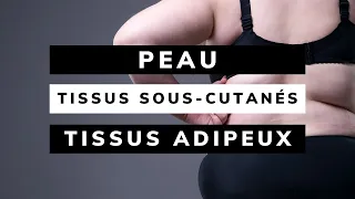 PEAU, tissus SOUS-CUTANÉS, tissus ADIPEUX (Anamnèse et Exploration Physique)