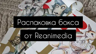 Выдающиеся звери | обзор бокса|reanimedia