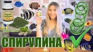 СПИРУЛИНА - ВОЛШЕБНАЯ ВОДОРОСЛЬ ДЛЯ КРАСОТЫ И ПОХУДЕНИЯ ❤