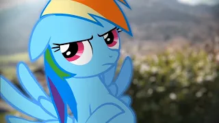 Rainbow Dash's Precious Book - Part 4 (MLP in real life)