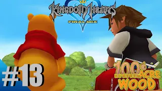 Winnie the Pooh - Kingdom Hearts Final Mix Part 13 - 100 Acre Wood