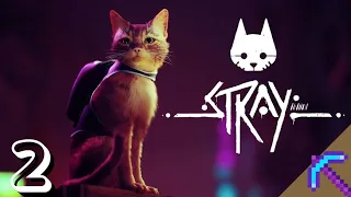 THIS IS THE CUTEST GAME EVER | Stray #2