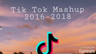 Tik Tok Mashup/2016-2018