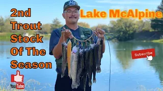 Episode 79: 2nd trout stock day at Lake McAlpine @ NoSkunkAdventures