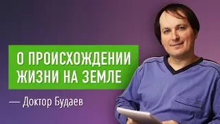 Всё случайно? Есть ли у нас Выбор? Что Есть или Кто Есть Господь Бог? Взгляд Просветлённого человека