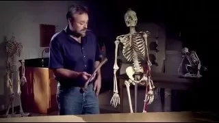 Человек разумный /  Homo erectus Vs Homo sapiens